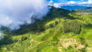 The Enchanting Hill Station | Haputale