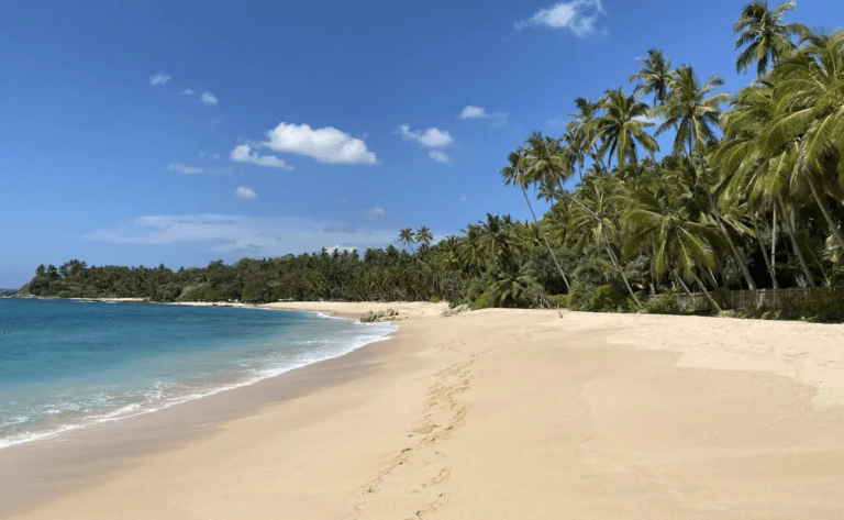 Kalkudah Beach | All you must know befor you Go