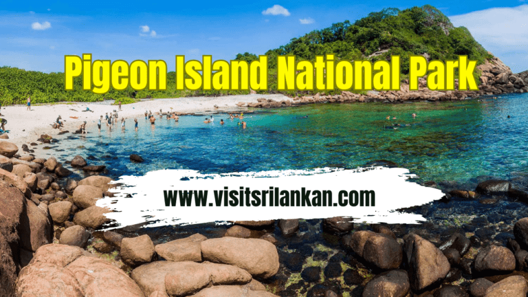 Pigeon Island National Park | Exploring Nature’s Treasure in Sri Lanka