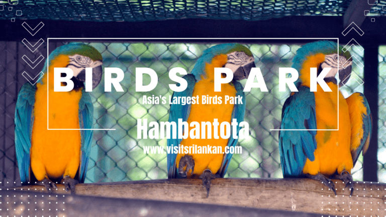 Asia’s Best Birds Park & Birds Research Center | Hambantota