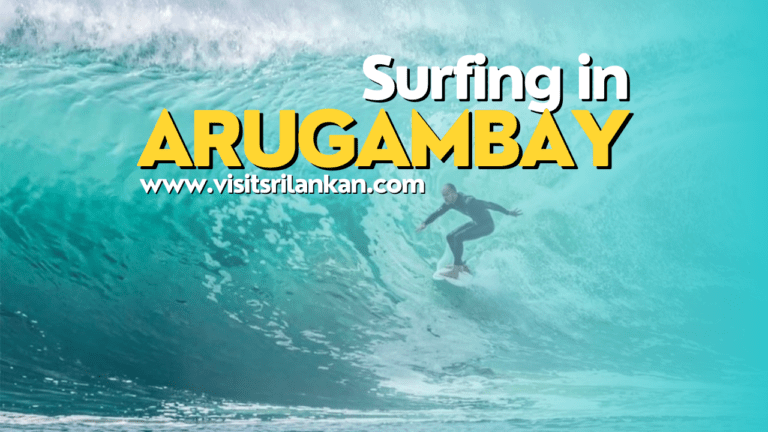 Arugam Bay Surfing  – Best Surf place in the World