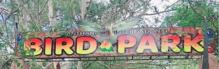 Visit Hanthana Birds Park: The Best Family Attraction in Kandy