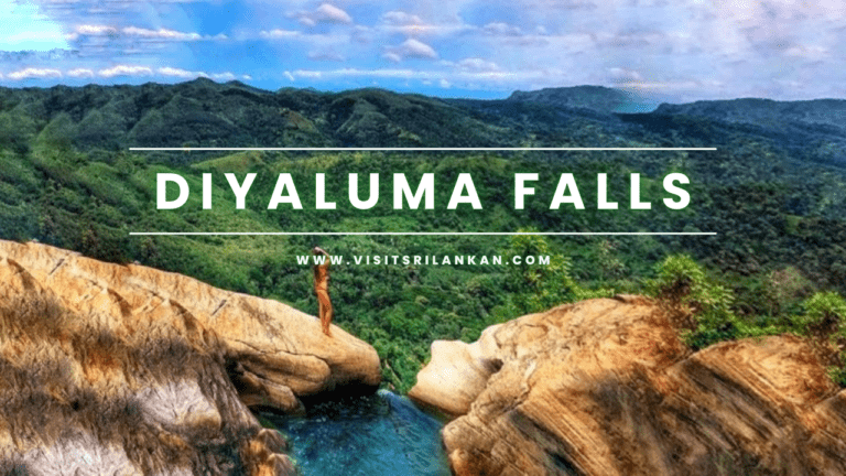 The Hidden Charms of Diyaluma Waterfalls | A Complete Exploration