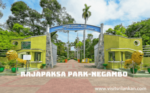 Rajapaksa Park &ndash; A unique park in Sri Lanka