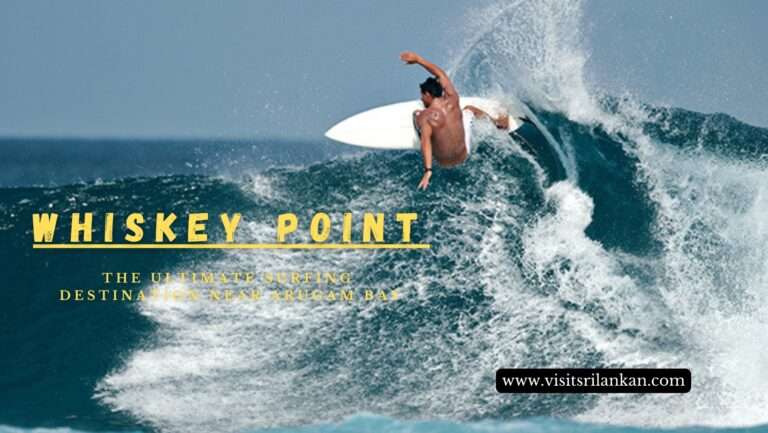 Whiskey Point – Find the best wave in Sri Lanka