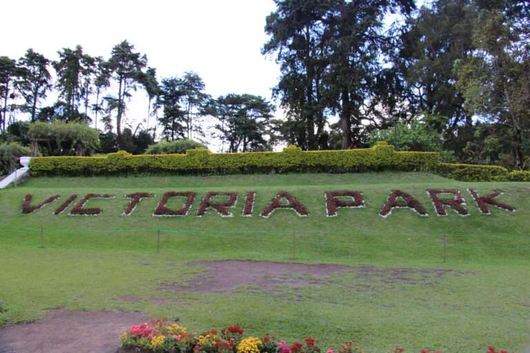 Victoria Park : Everything You Need to Know Before You Visit