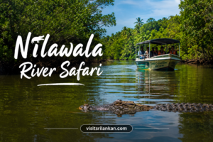 Nilwala River